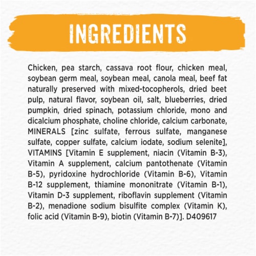 Beneful® Grain Free with Farm-Raised Chicken Natural Dry Dog Food Perspective: back
