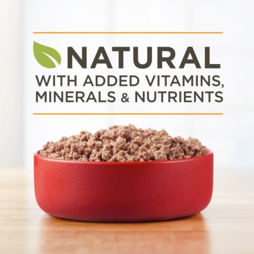 Purina ONE True Instinct Grain Free Wet Dog Food Classic Ground Real Game Bird Perspective: back