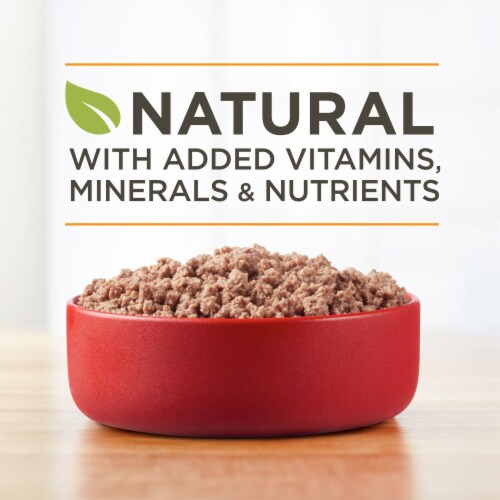 Purina ONE True Instinct Grain Free Wet Dog Food Classic Ground Real Game Bird Perspective: back
