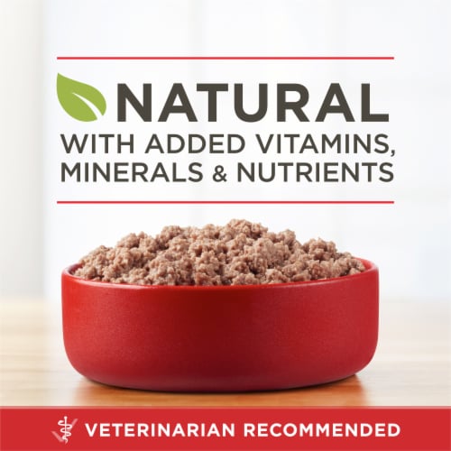 Purina ONE True Instinct Grain Free Wet Dog Food Classic Ground Real Beef & Wild Caught Salmon Perspective: back