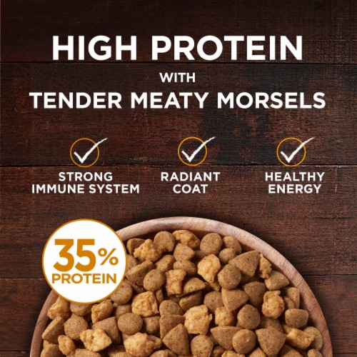 Purina ONE True Instinct High Protein Grain Free Adult Dry Cat Food Real Chicken Perspective: back