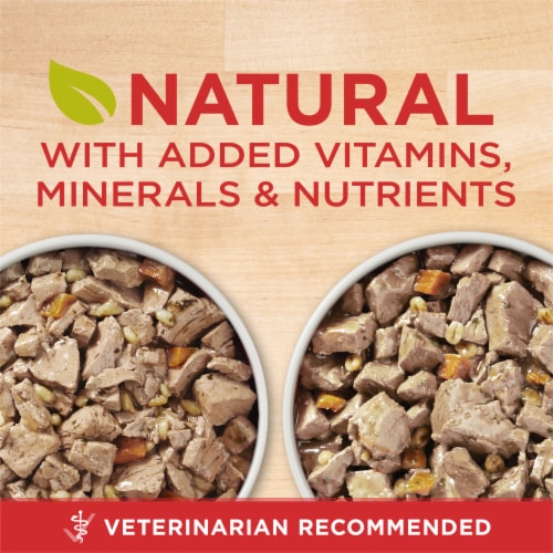 Purina ONE Tender Cuts in Gravy Wet Dog Food Variety Pack Chicken and Brown Rice and Beef and Barley Perspective: back
