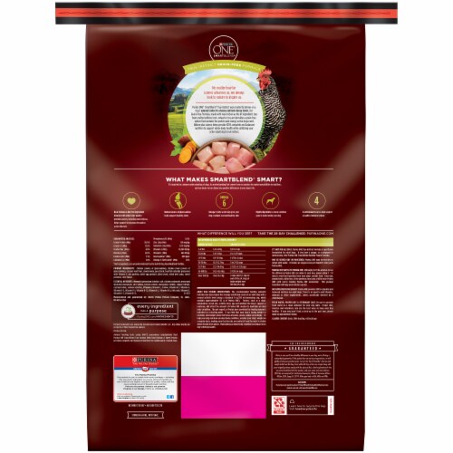 Purina ONE SmartBlend True Instinct Real Chicken Grain Free Natural Adult Dry Dog Food Perspective: back