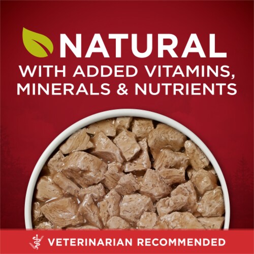 Purina ONE® SmartBlend® True Instinct Real Turkey & Venison in Gravy Adult Wet Dog Food Perspective: back