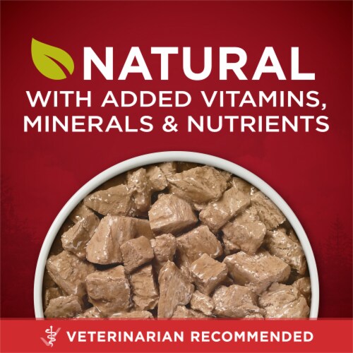 Purina one sales wet dog food
