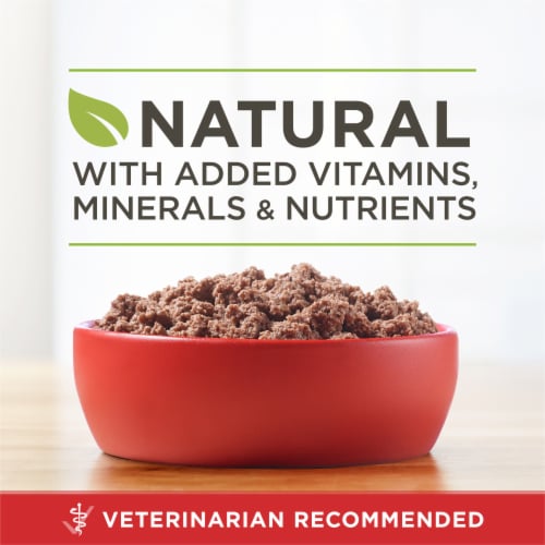 Purina ONE True Instinct Grain Free Wet Dog Food Classic Ground Real Chicken & Duck Perspective: back