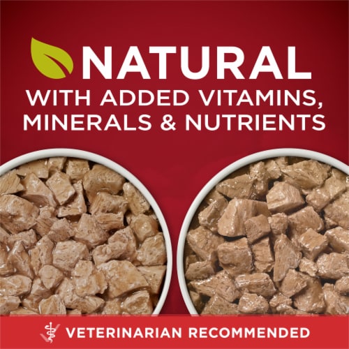Purina ONE® SmartBlend® True Instinct Tender Cuts Natural Gravy Wet Dog Food Variety Pack Perspective: back