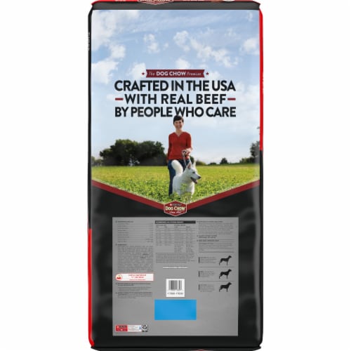 Purina® Dog Chow® Complete Adult with Real Beef Dry Dog Food Perspective: back