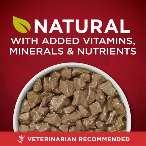 Purina ONE® SmartBlend® True Instinct Beef & Salmon Tender Cuts in Gravy Wet Dog Food Perspective: back