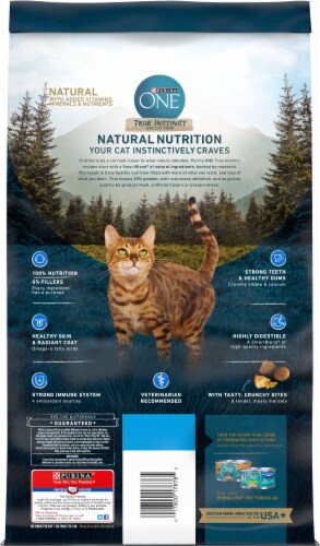 Purina ONE True Instinct Real Ocean Whitefish Natural High Protein Grain Free Dry Cat Food 3.2 lb Food 4 Less