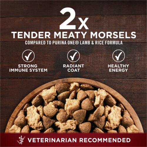 Purina ONE True Instinct High Protein with Real Beef & Salmon Adult Dry Dog Food Perspective: back