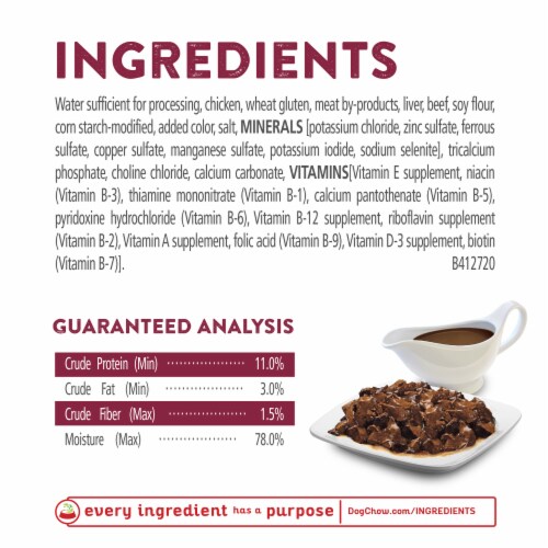 Dog Chow® High Protein with Real Beef in Savory Gravy Wet Dog Food Perspective: back