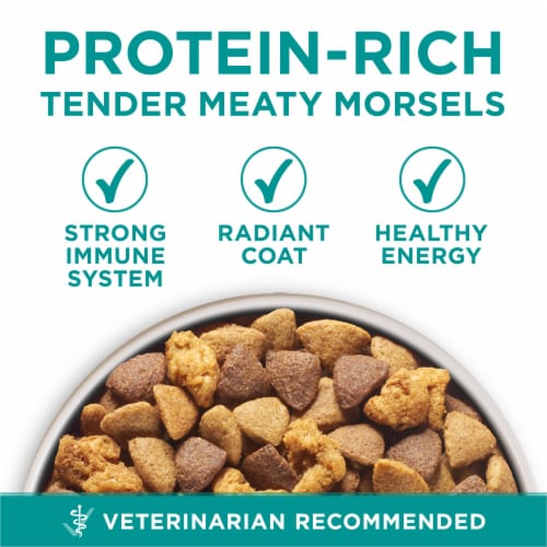 Purina ONE +Plus Digestive Health Adult Dry Dog Food Real Chicken Perspective: back
