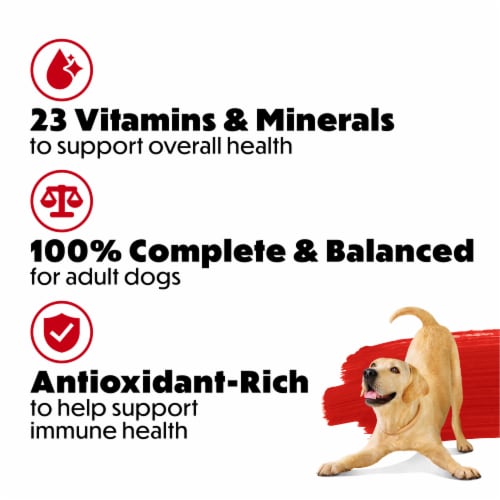 Purina Beneful Originals with Real Beef Adult Dog Food Perspective: back
