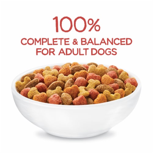 Purina Beneful Originals Natural Dry Dog Food With Natural Salmon Perspective: back