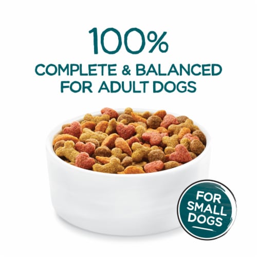 Purina Beneful Incredibites Natural Small Breed Dry Dog Food With Farm-Raised Beef Perspective: back