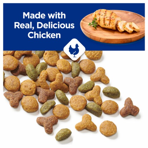 Purina Cat Chow Complete Dry Cat Food Real Chicken Perspective: back