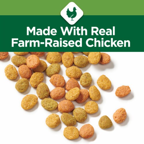 Cat Chow® Indoor Adult Dry Cat Food Perspective: back