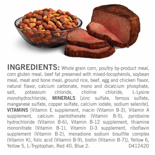 Purina® Dog Chow® Complete Adult with Real Beef Dry Dog Food Perspective: back