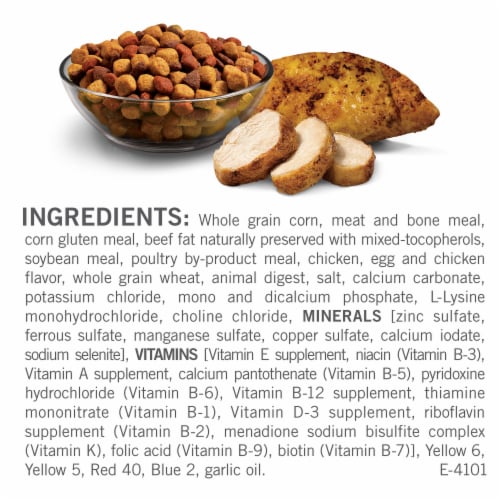 Dog Chow Complete with Real Chicken Adult Dry Dog Food Perspective: back