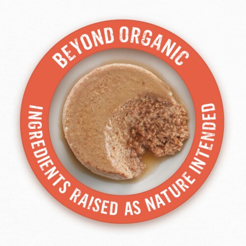 Beyond Organic Wet Cat Food Pate Organic Chicken & Sweet Potato Perspective: back