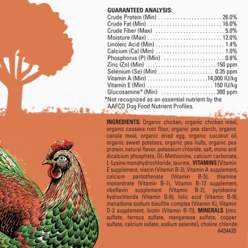 Beyond Organic Chicken Egg & Sweet Potato Adult Dry Dog Food Perspective: back