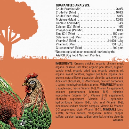 Beyond Organic Chicken Egg & Sweet Potato Adult Dry Dog Food Perspective: back