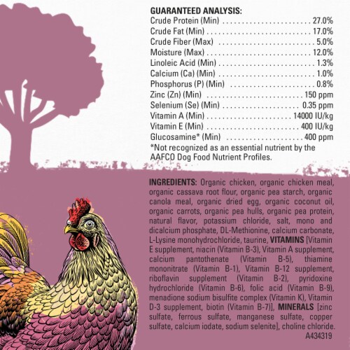 Beyond Organic Chicken Egg & Carrot Recipe Dry Small Dog Food Perspective: back