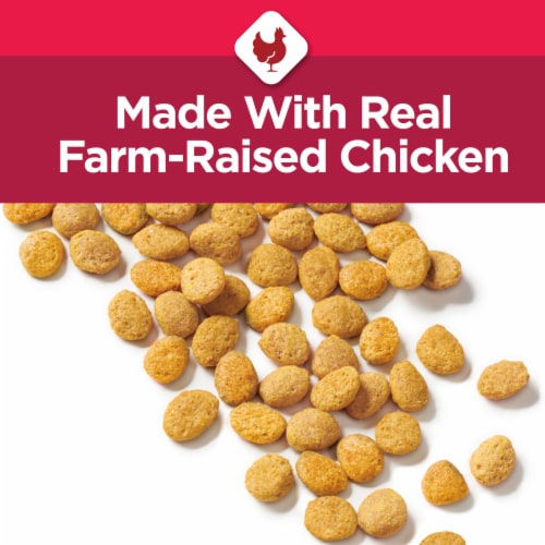 Purina Cat Chow Senior Essentials 7+ Immune + Joint Health Dry Cat Food Perspective: back