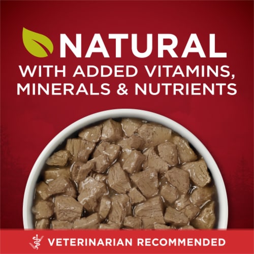Purina ONE True Instinct Grain Free Wet Dog Food Tender Cuts in Gravy Real Beef & Bison Perspective: back