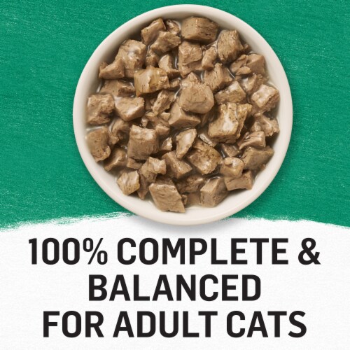 Purina Beyond Mixers+ Immune Support Wet Cat Food Complement Alaskan Cod Perspective: back