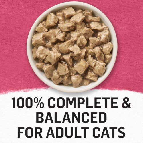 Purina Beyond® Mixers+ Digestive Support Turkey & Brown Rice Wet Cat Food Perspective: back