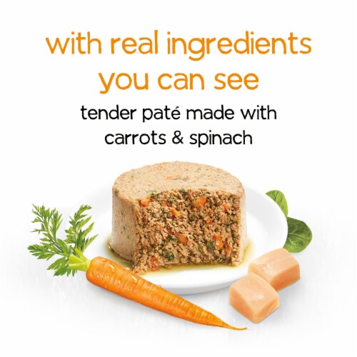 Purina Beneful Infused Wet Dog Food Pate With Real Chicken, Carrots and Spinach, With Fish Oil Perspective: back