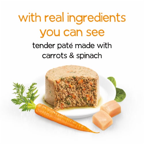 Purina Beneful Infused Wet Pate Dog Food With Real Chicken, Carrots and Spinach, With Fish Oil Perspective: back
