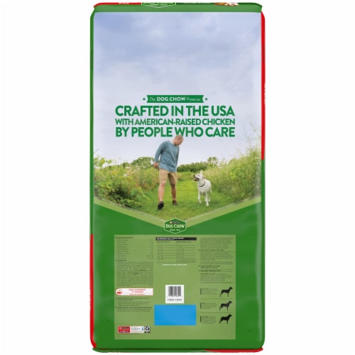 Purina® Dog Chow Complete Adult with Chicken Dry Adult Dog Food Perspective: back