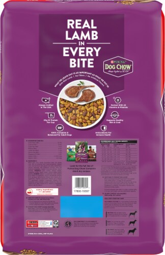 Purina® Dog Chow® Complete Dog Chow with Lamb Perspective: back