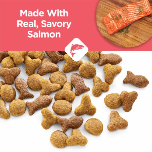Purina Cat Chow Complete Dry Cat Food Real Salmon Perspective: back