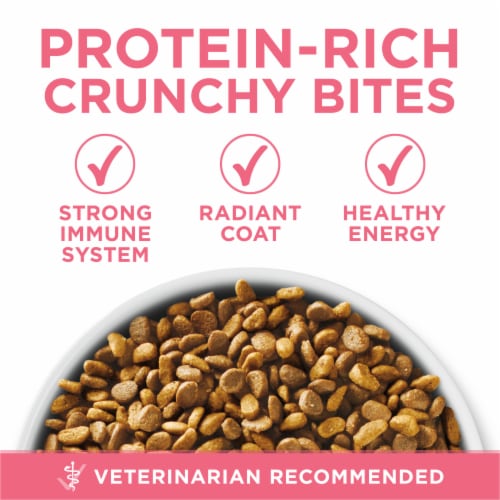 Purina ONE Healthy Kitten Formula Natural Dry Kitten Food 3.5 lb