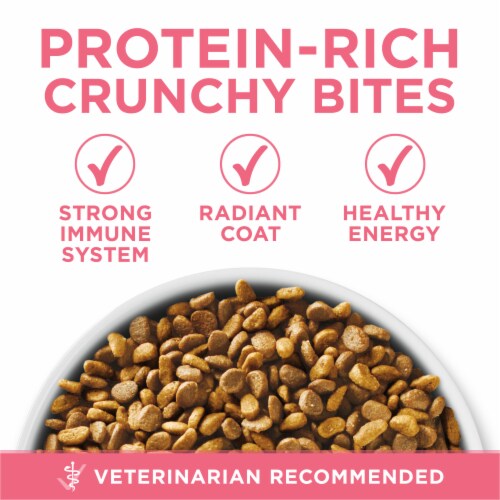 Purina ONE +Plus Healthy Kitten Natural Dry Cat Food Real Chicken Perspective: back