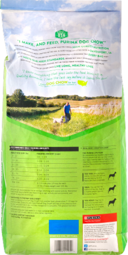 Dog Chow Complete Adult Dry Dog Food Perspective: back