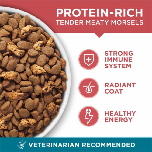 Purina ONE® Tender Selects Blend with Real Salmon Natural Dry Cat Food Perspective: back
