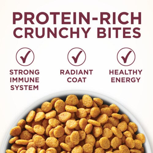 Purina ONE® Urinary Tract Health Formula Dry Cat Food Perspective: back