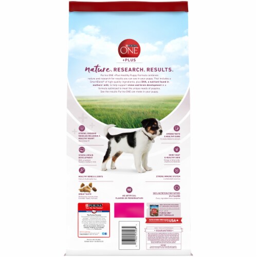 Purina ONE® +Plus Healthy Puppy Formula Perspective: back