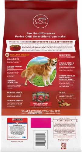 Purina ONE® Plus Healthy Weight High-Protein Formula Adult Dog Food Perspective: back