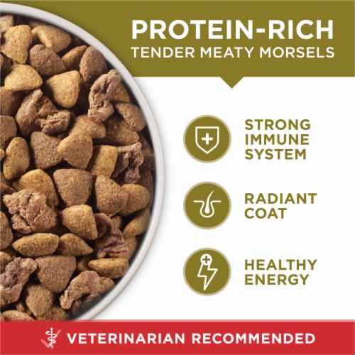 Purina ONE High Protein Adult Dry Dog Food Lamb & Rice Perspective: back
