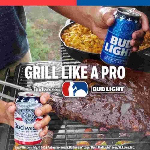 Bud Light Lime American Lager Beer Perspective: back