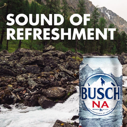 Busch Non-Alcoholic Beer Perspective: back