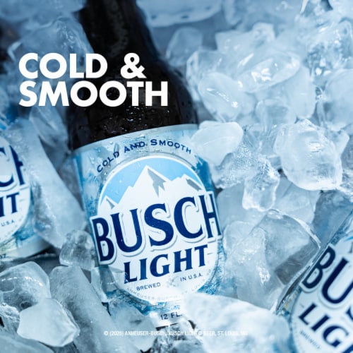 Busch Light American Lager Beer Perspective: back
