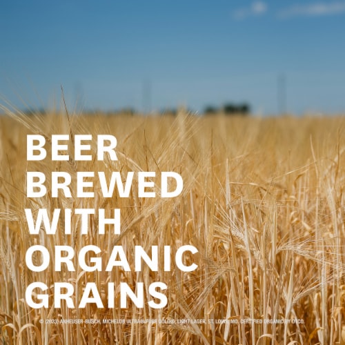 Michelob ULTRA Pure Gold Organic American Lager Beer Perspective: back