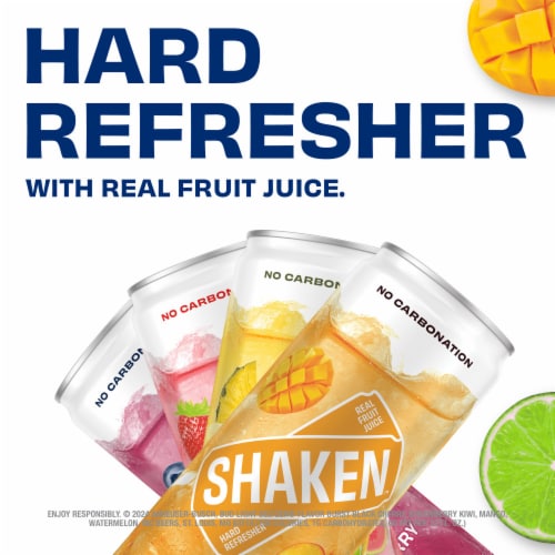 Shaken Real Fruit Juice Hard Refresher Variety Pack Perspective: back
